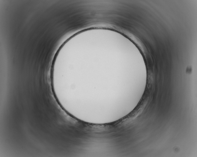 X0000100320959200807031208