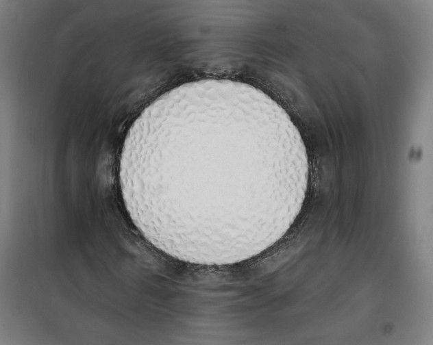 X0000100320962200807031207