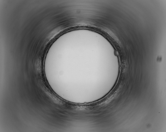 X0000100320969200807031207