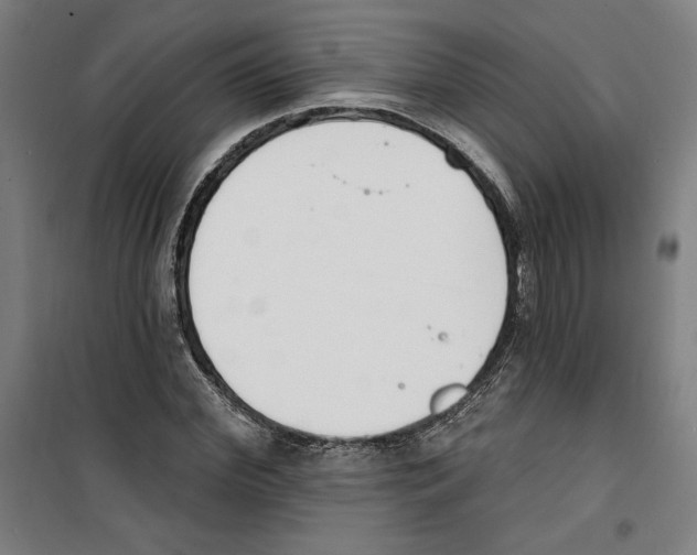 X0000100320972200807031207