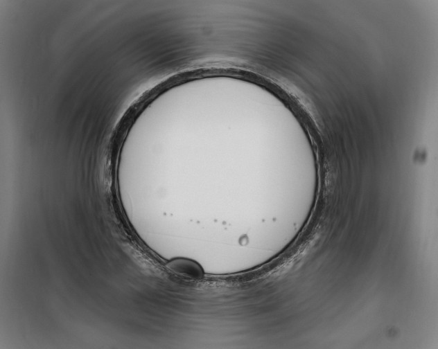 X0000100320973200807031207