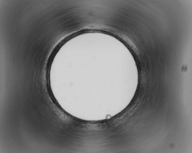 X0000100320976200807031207