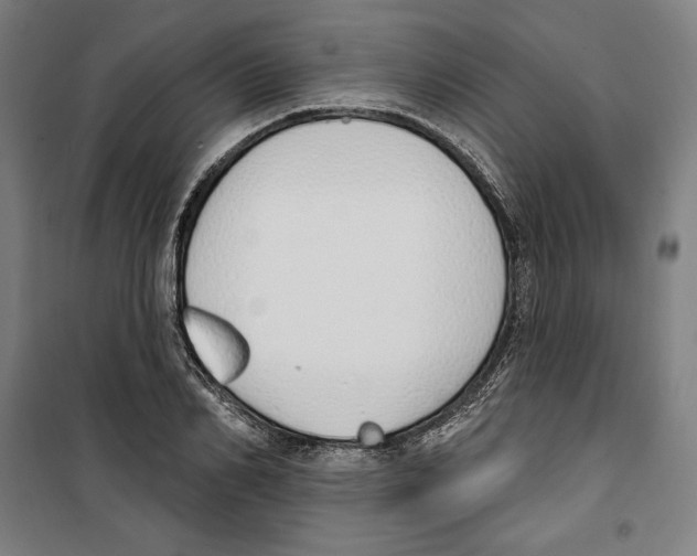 X0000100320982200807031206