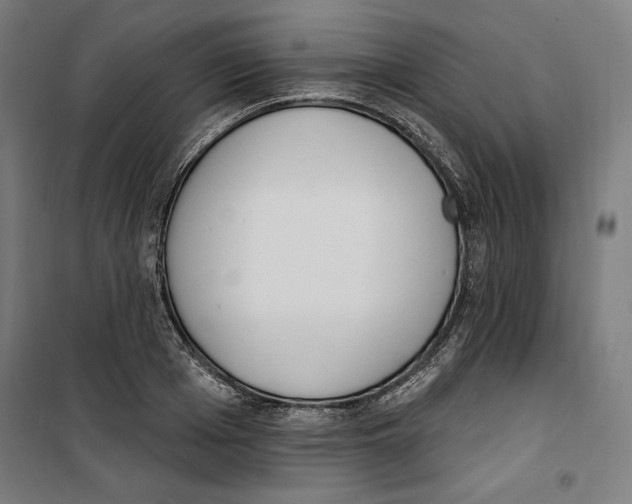 X0000100320985200807031206