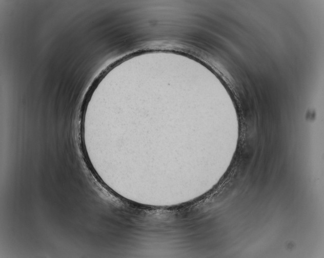 X0000100320992200807031206