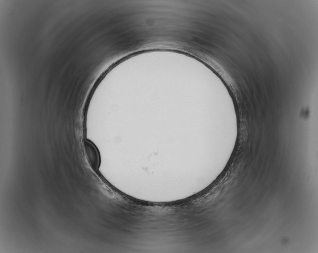 X0000100320996200807031206