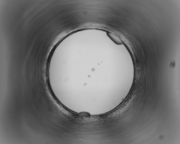 X0000100320997200807031206