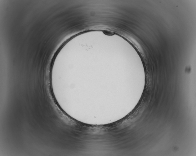 X0000100321000200807031206