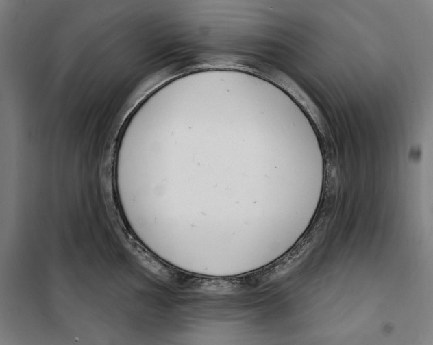 X0000100321002200807031206