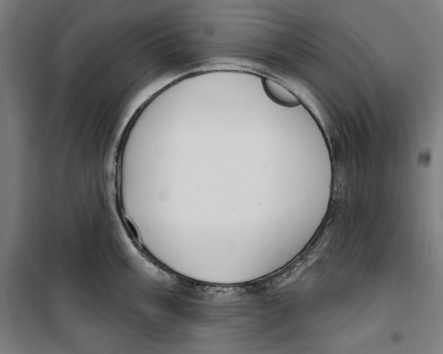 X0000100321003200807031206