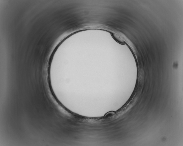 X0000100321005200807031206