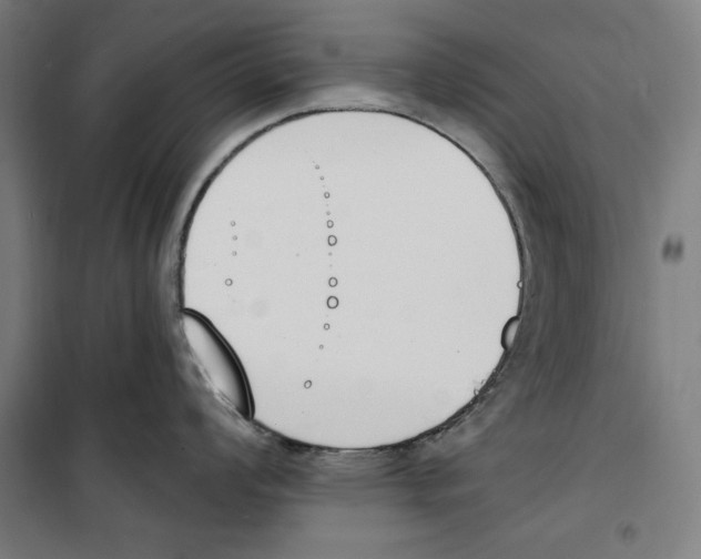 X0000100321008200807031206