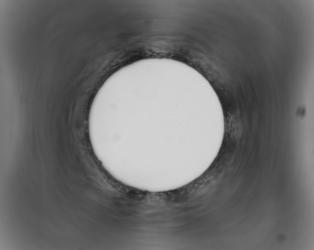 X0000100321009200807031205