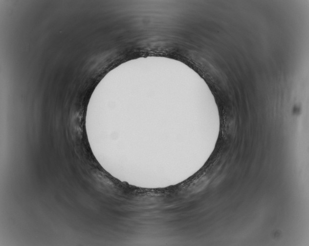 X0000100321010200807031205