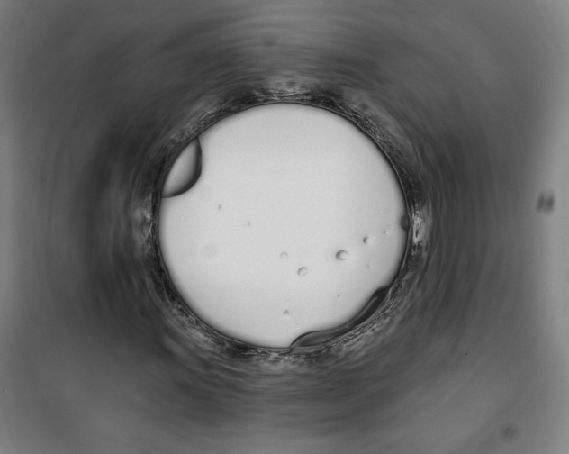 X0000100321011200807031205