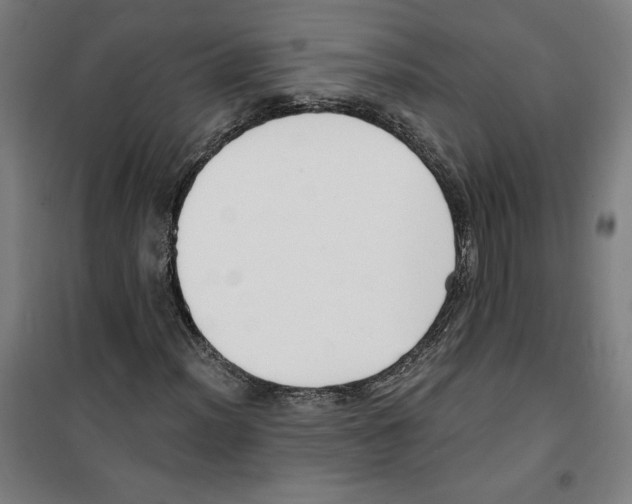 X0000100321012200807031205