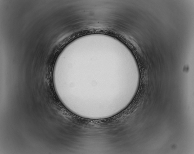 X0000100321015200807031205