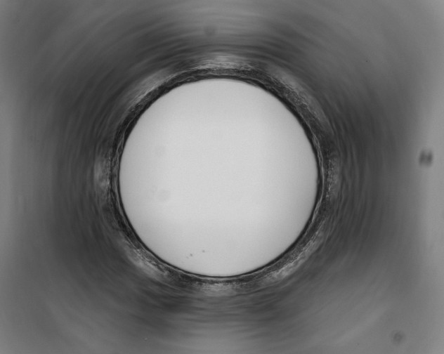 X0000100321017200807031205