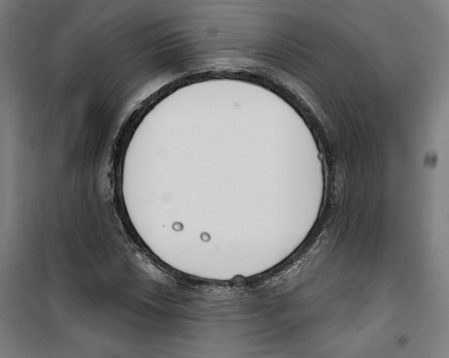 X0000100321018200807031205