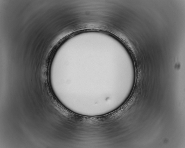 X0000100321019200807031205