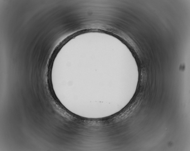 X0000100321020200807031206