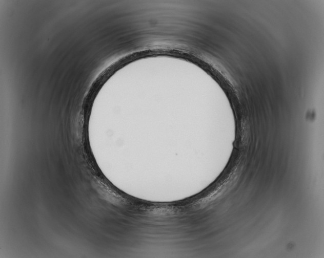 X0000100321021200807031206