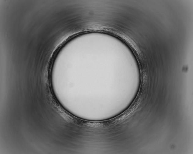 X0000100321023200807031206