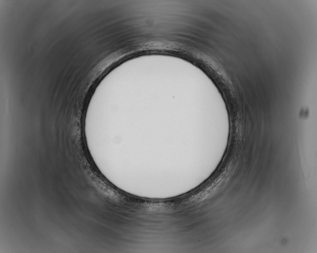 X0000100321025200807031206