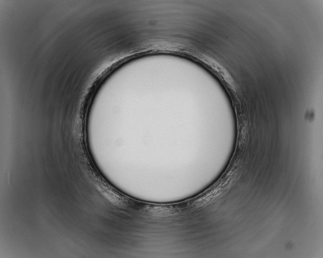 X0000100321027200807031206