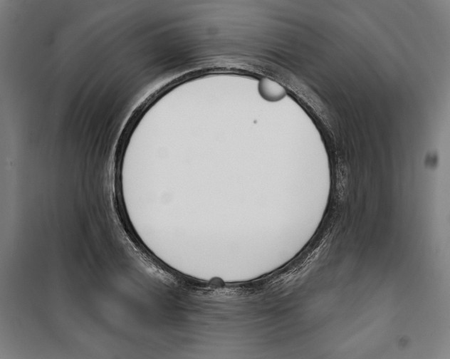 X0000100321028200807031206