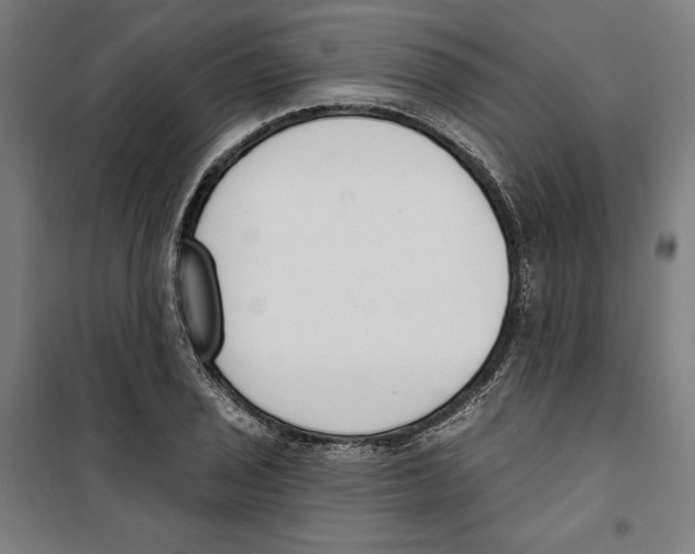 X0000100321029200807031206