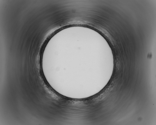 X0000100321030200807031206