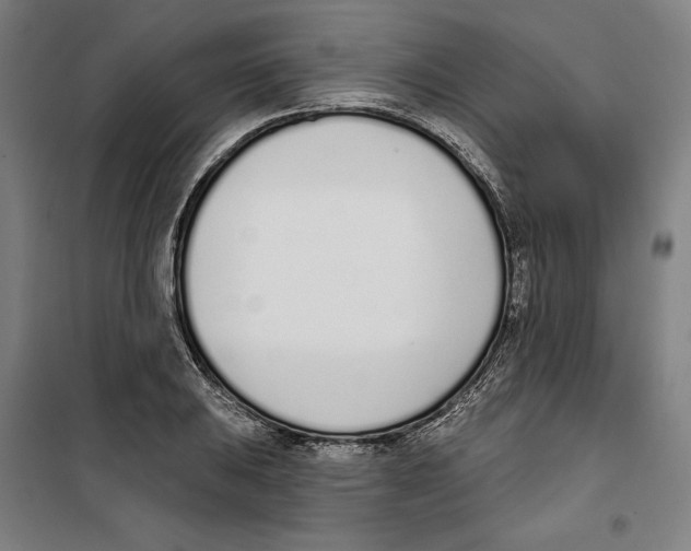 X0000100321031200807031206