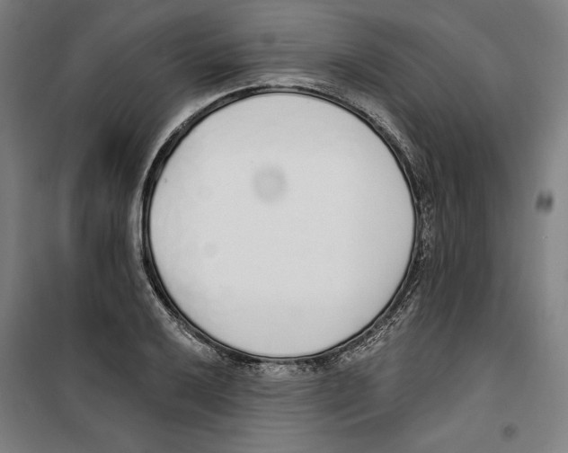 X0000100321032200807031206