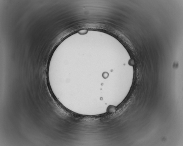 X0000100321033200807031206