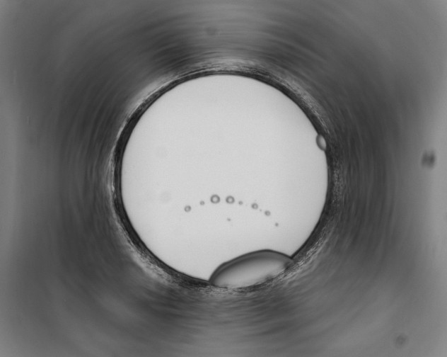 X0000100321034200807031206