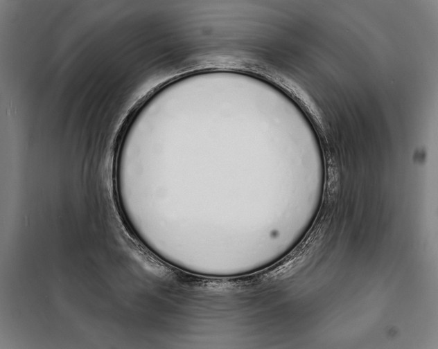 X0000100321035200807031206