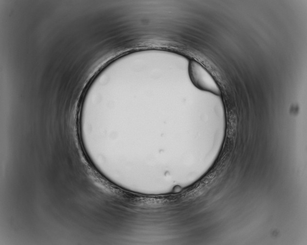 X0000100321039200807031206