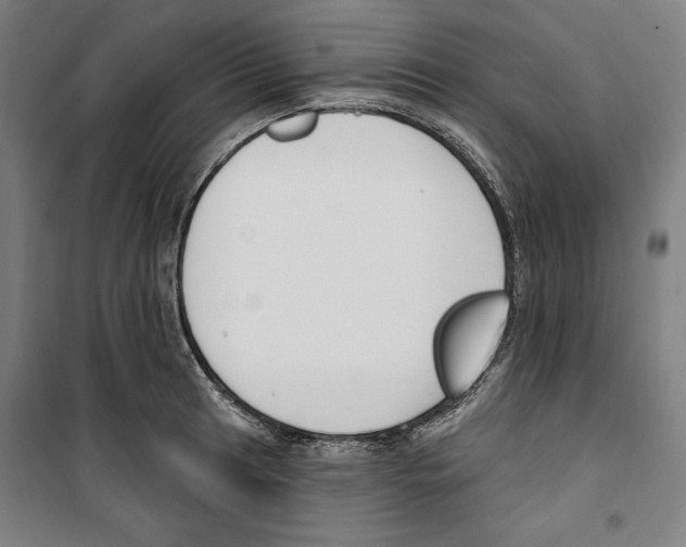 X0000100321041200807031206