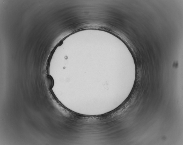 X0000100321042200807031206