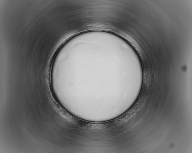 X0000100321043200807031206