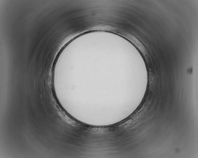 X0000100321044200807031206