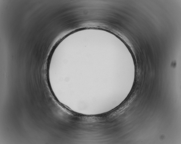 X0000100321045200807031206