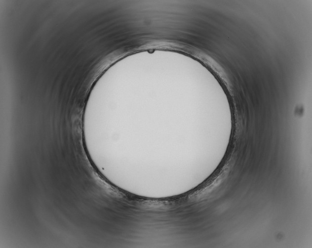 X0000100321049200807031206