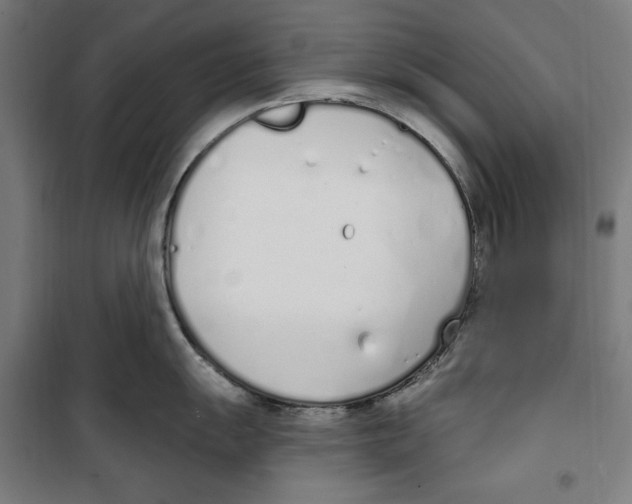 X0000100321055200807031206