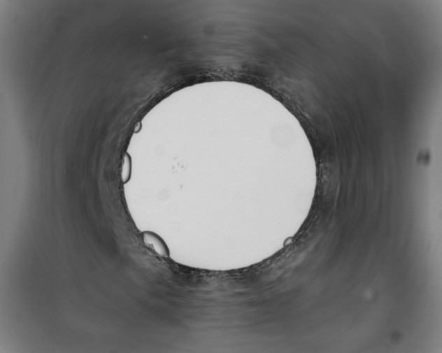 X0000100321057200807031205