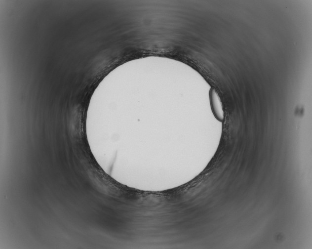 X0000100321058200807031205