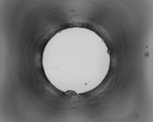 X0000100321060200807031205