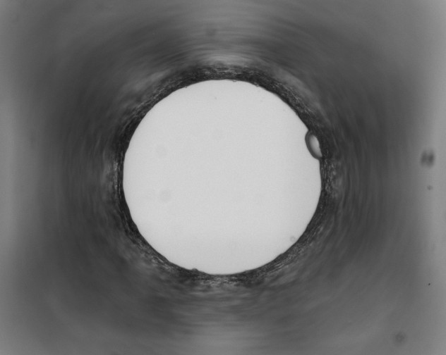 X0000100321061200807031205