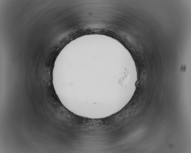 X0000100321062200807031205